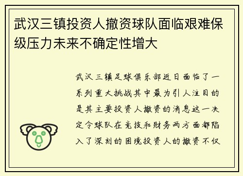 武汉三镇投资人撤资球队面临艰难保级压力未来不确定性增大
